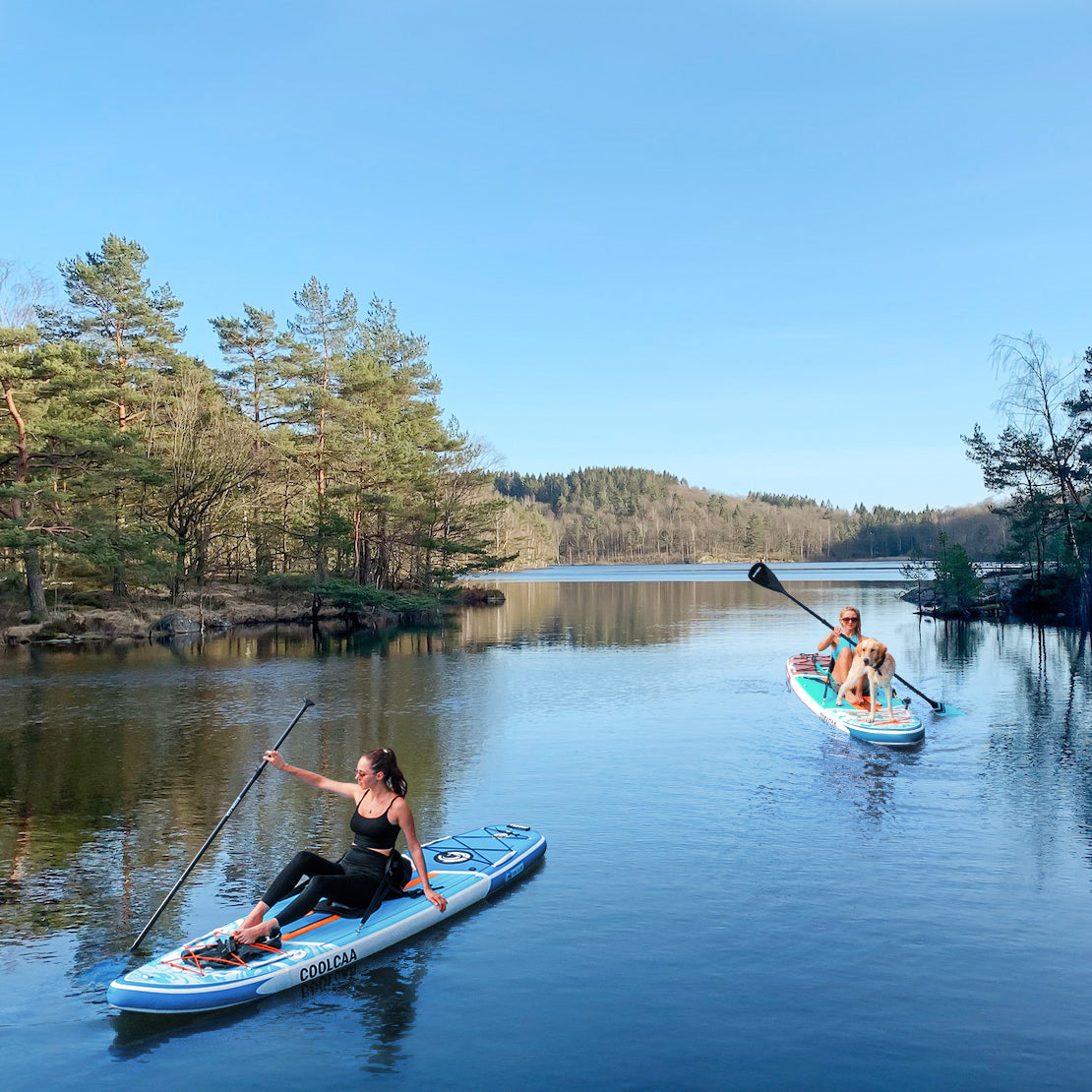 pets-friendly paddle boards